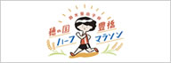 穂の国・豊橋ハーフマラソン
